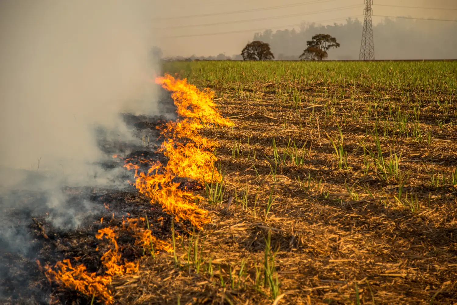 Farm Fire Investigation Guide: Safety, Causes & Tools