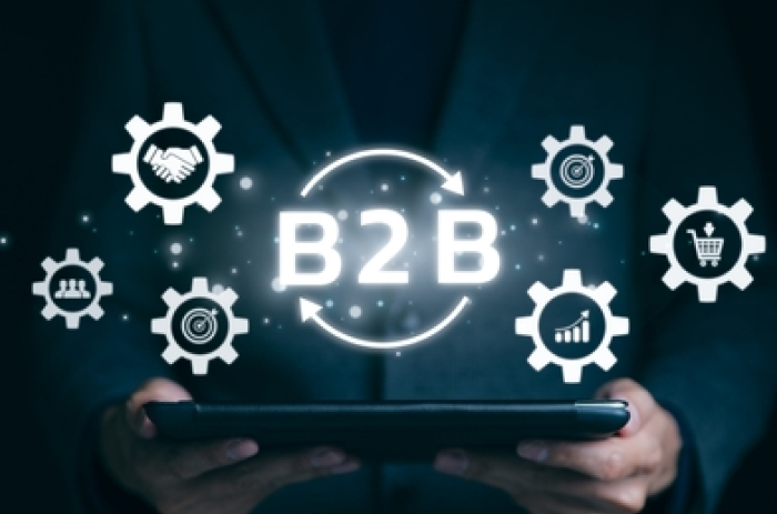 The Evolution of the B2B Customer Journey: Adapting to Modern Ecommerce Buyers