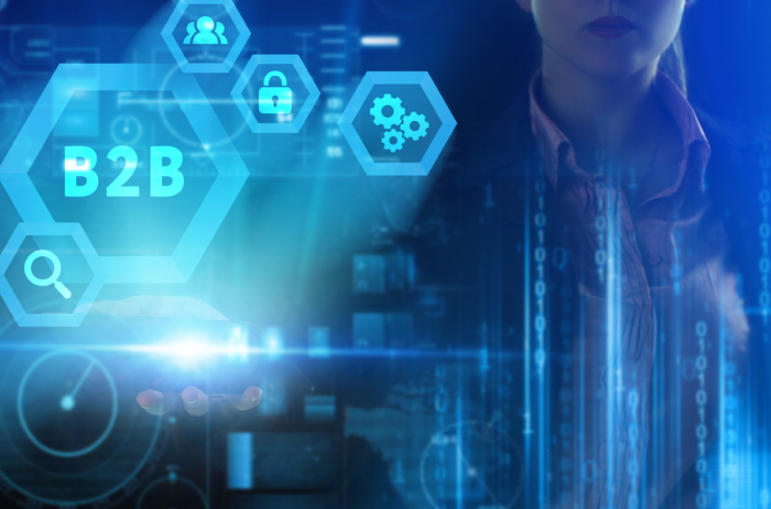 Navigating B2B Growth and Strategies to Stay Ahead in a Competitive Market