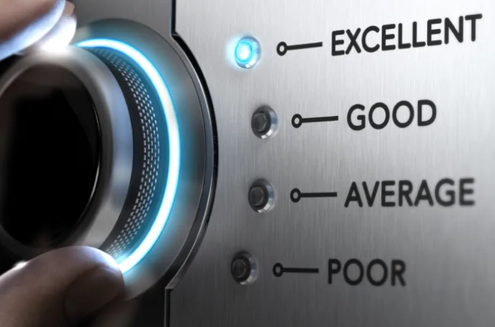 Reinventing the Wheel of Customer Loyalty in the Digital Renaissance: Unveiling Effective Strategies and Opportunities