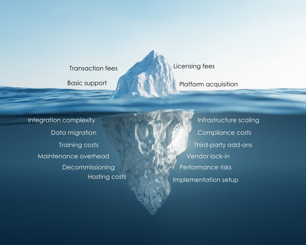 Total Cost of Ownership: How Ecommerce TCO Transforms Platform Decisions