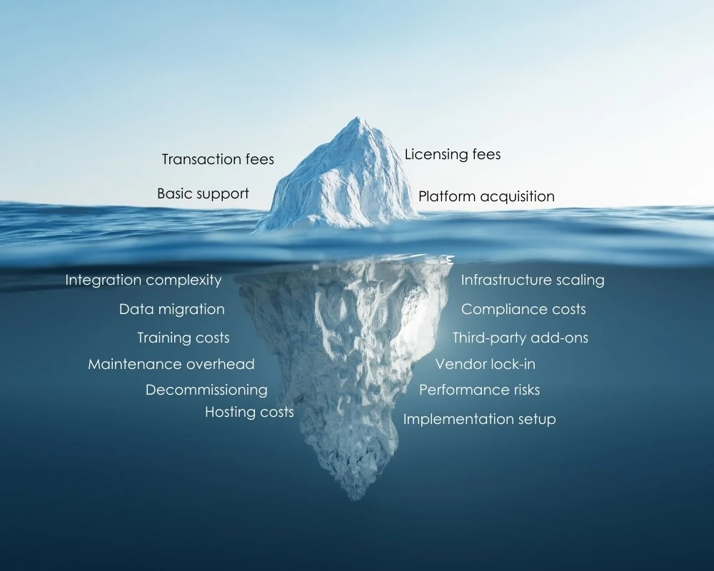Total Cost of Ownership: How Ecommerce TCO Transforms Platform Decisions