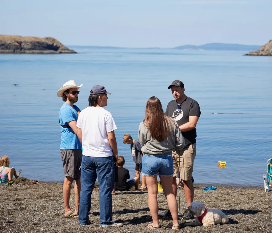 Group of four friends standing and talking on a rocky beach with calm ocean and islands in the background, a small white dog lying nearby.