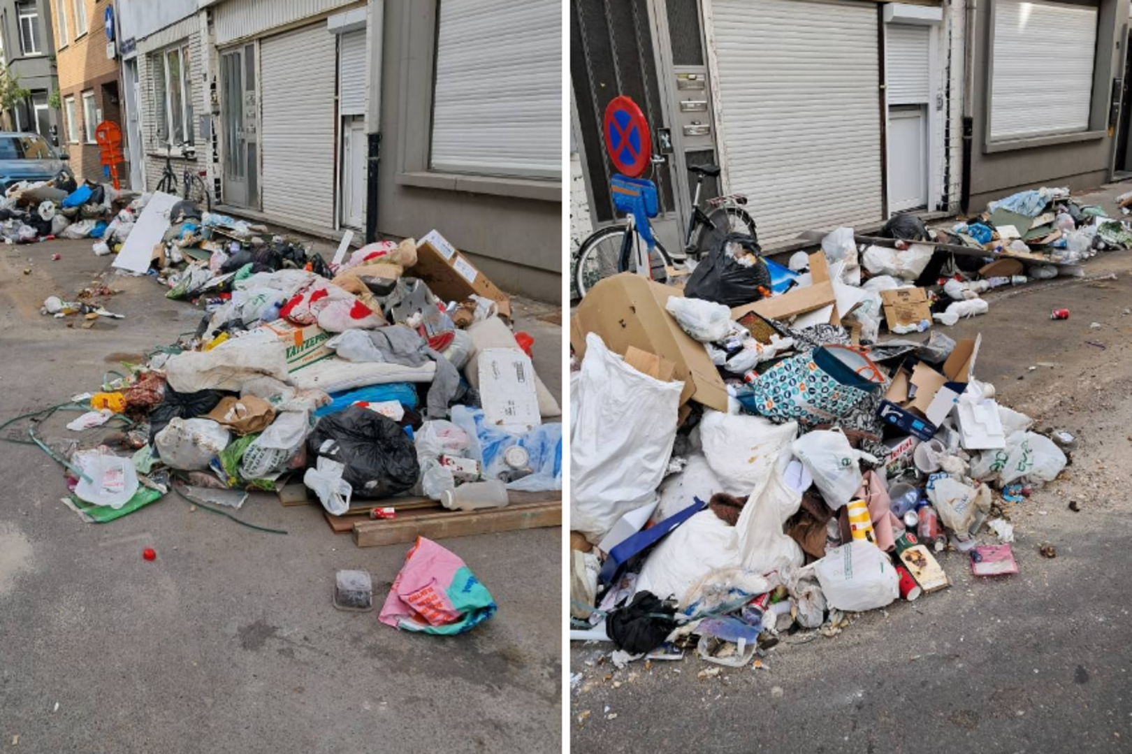 image of community conservation efforts