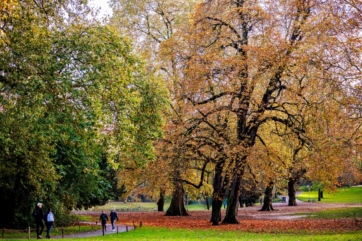 image of community conservation efforts