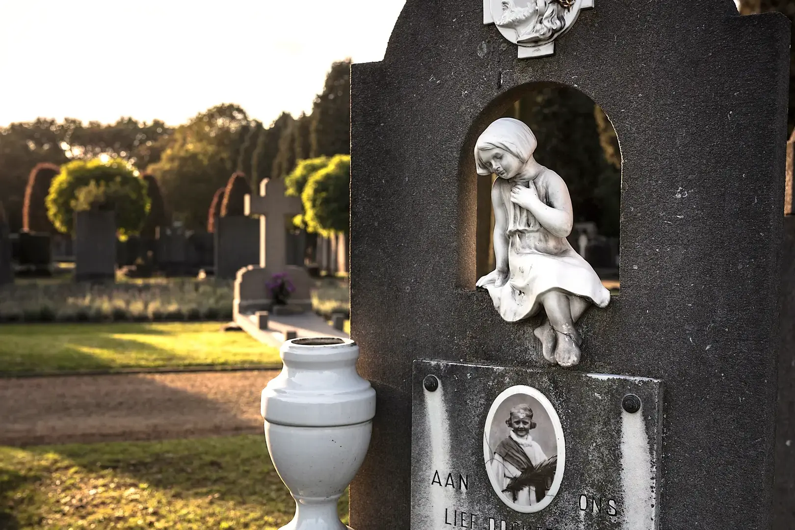 image of community conservation efforts