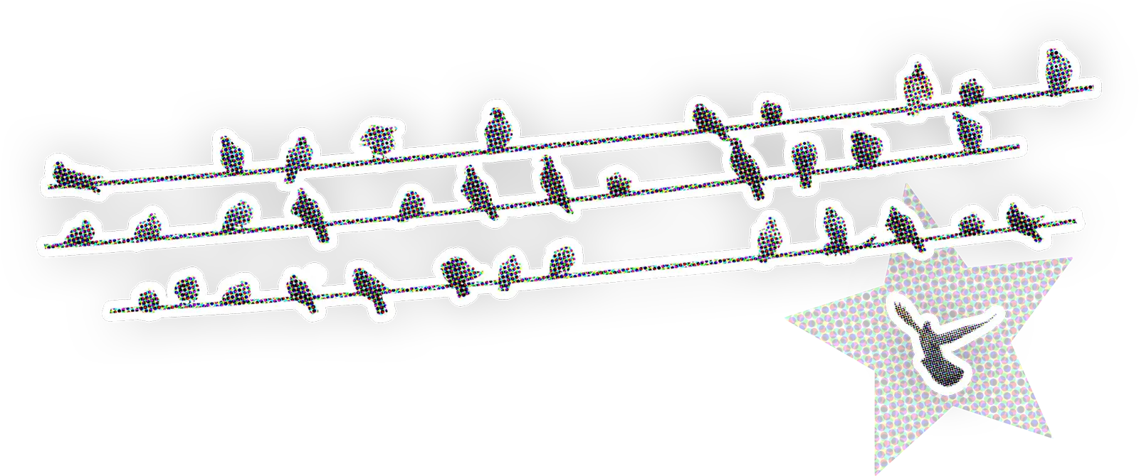 Viele Vögel auf Telefonleitungen; ein Vogel landet
