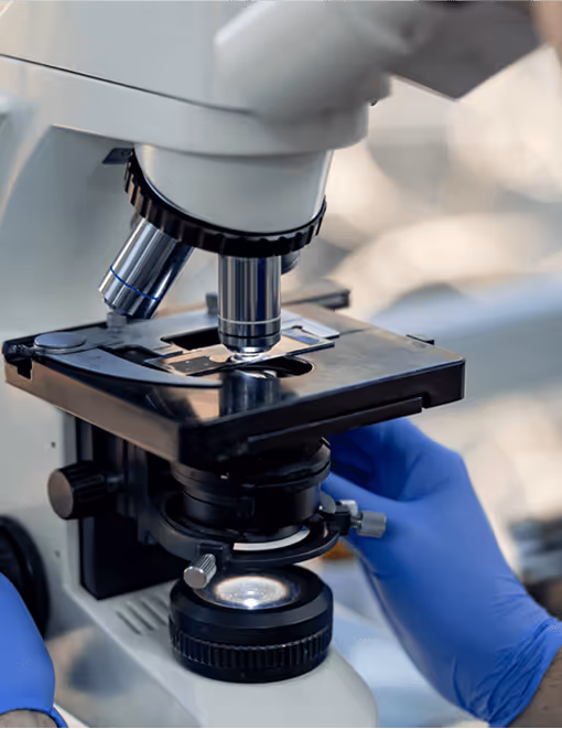 Mikroskop mit Objektträger, blau behandschuhte Hände einstellen Fokus. Laborforschung, Wissenschaftsinstrument.