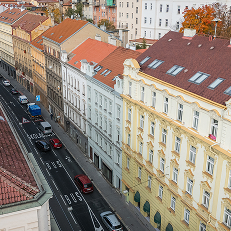 Pohled shora na městskou ulici se zaparkovanými auty a zahradními domy s podzimními listy na stromech.