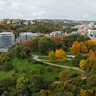 Podzimní pohled na městský park s barevnými stromy a moderními budovami v pozadí.