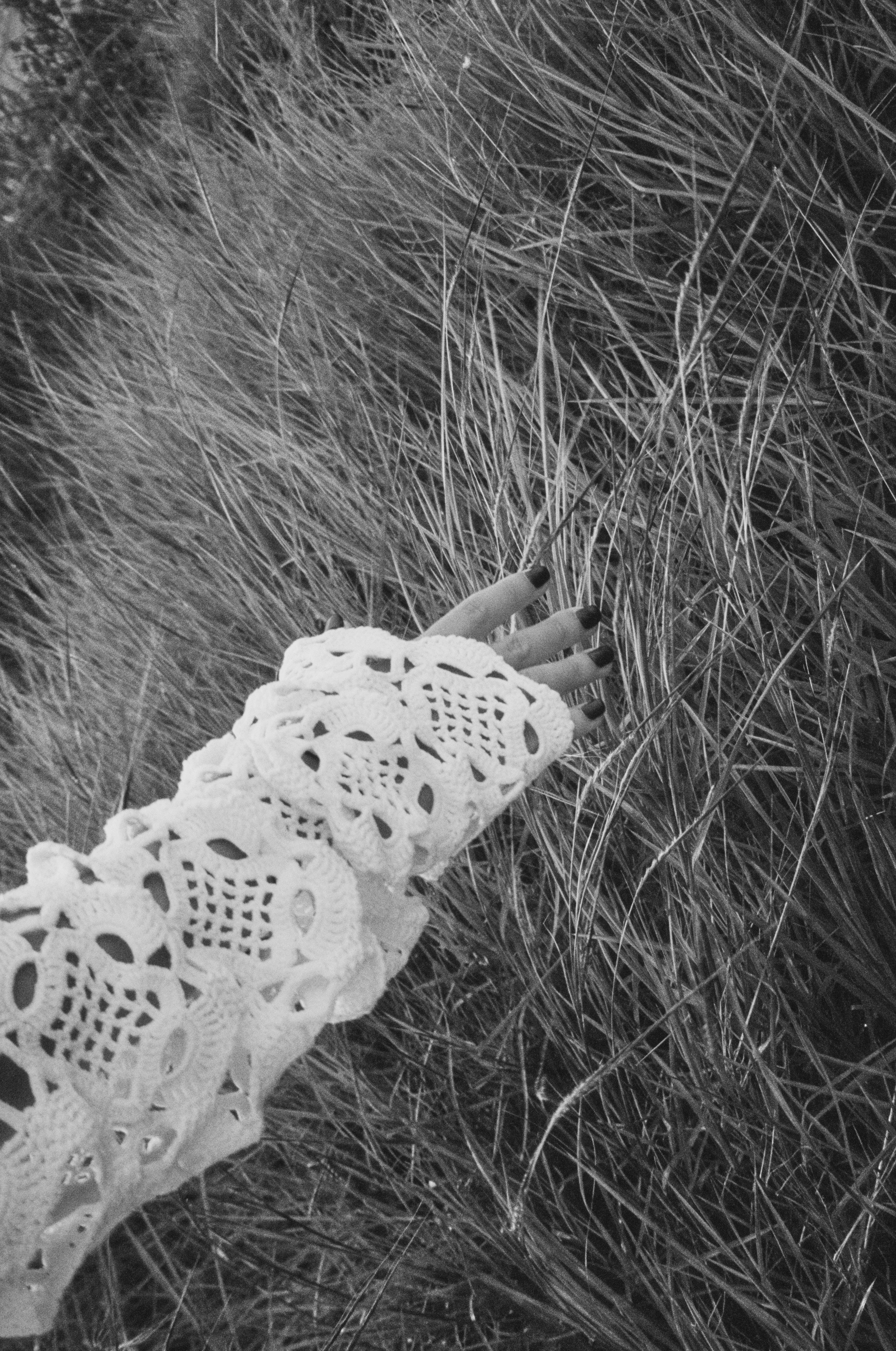 Hand with dark nail polish wearing a white crocheted sleeve touching tall grass in black and white.
