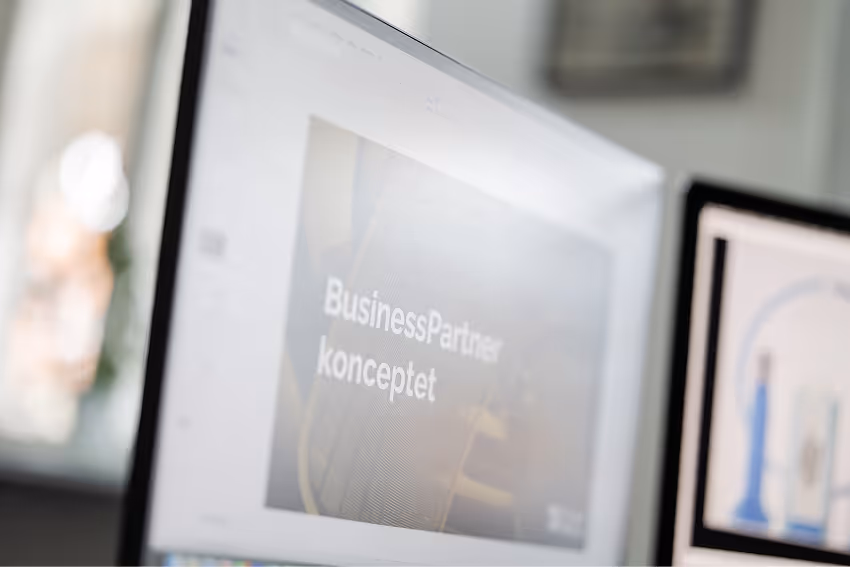 Præsenterer strategi på computerskærm.