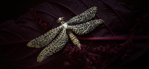 La Broche “Demoiselle de Lumière”