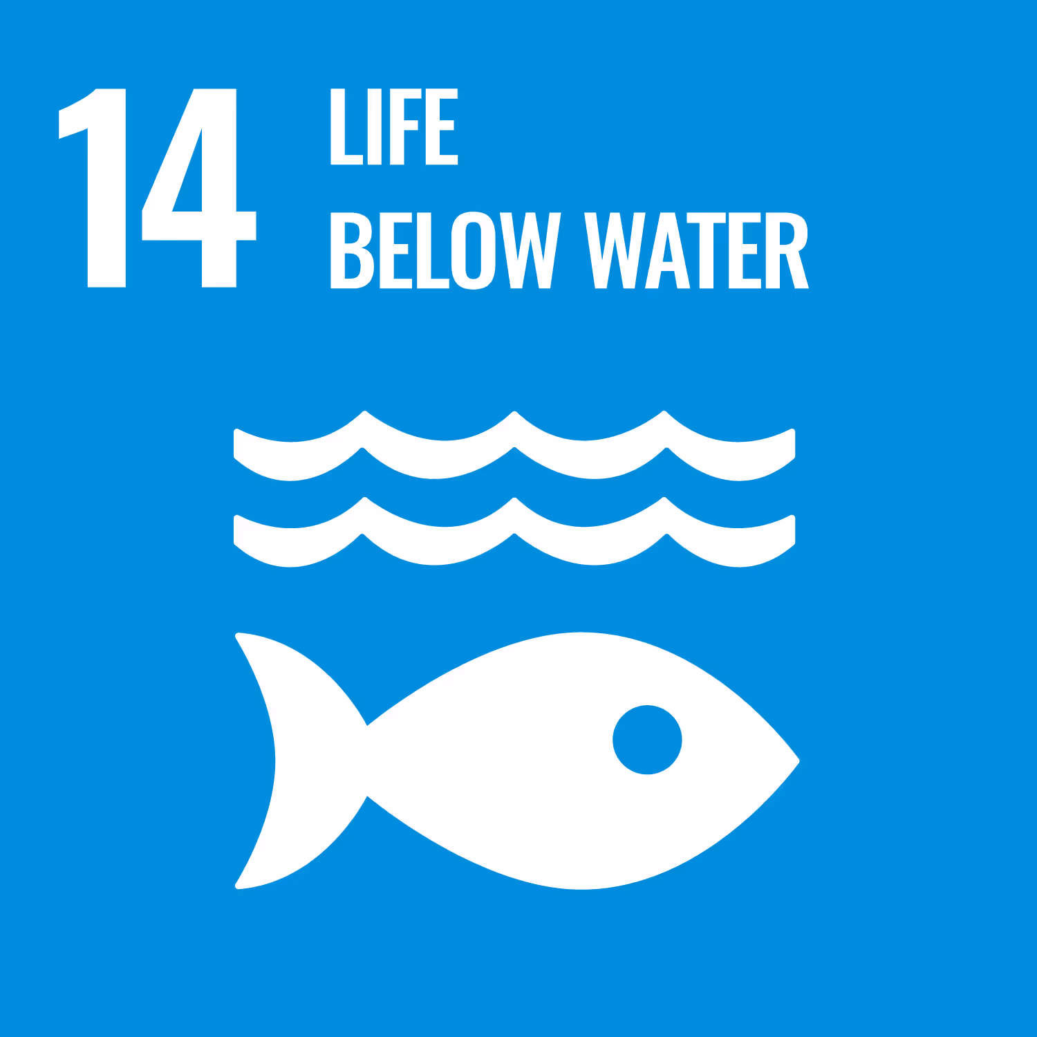 United Nations Sustainable Development Goal icon for “Life below water”