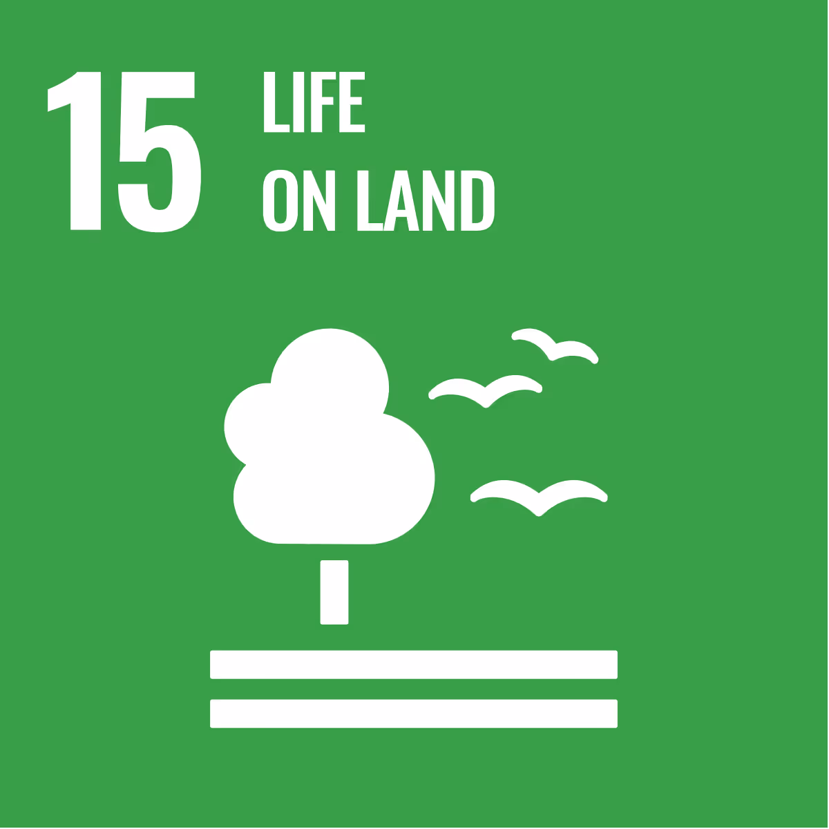 United Nations Sustainable Development Goal icon for “Life on land”