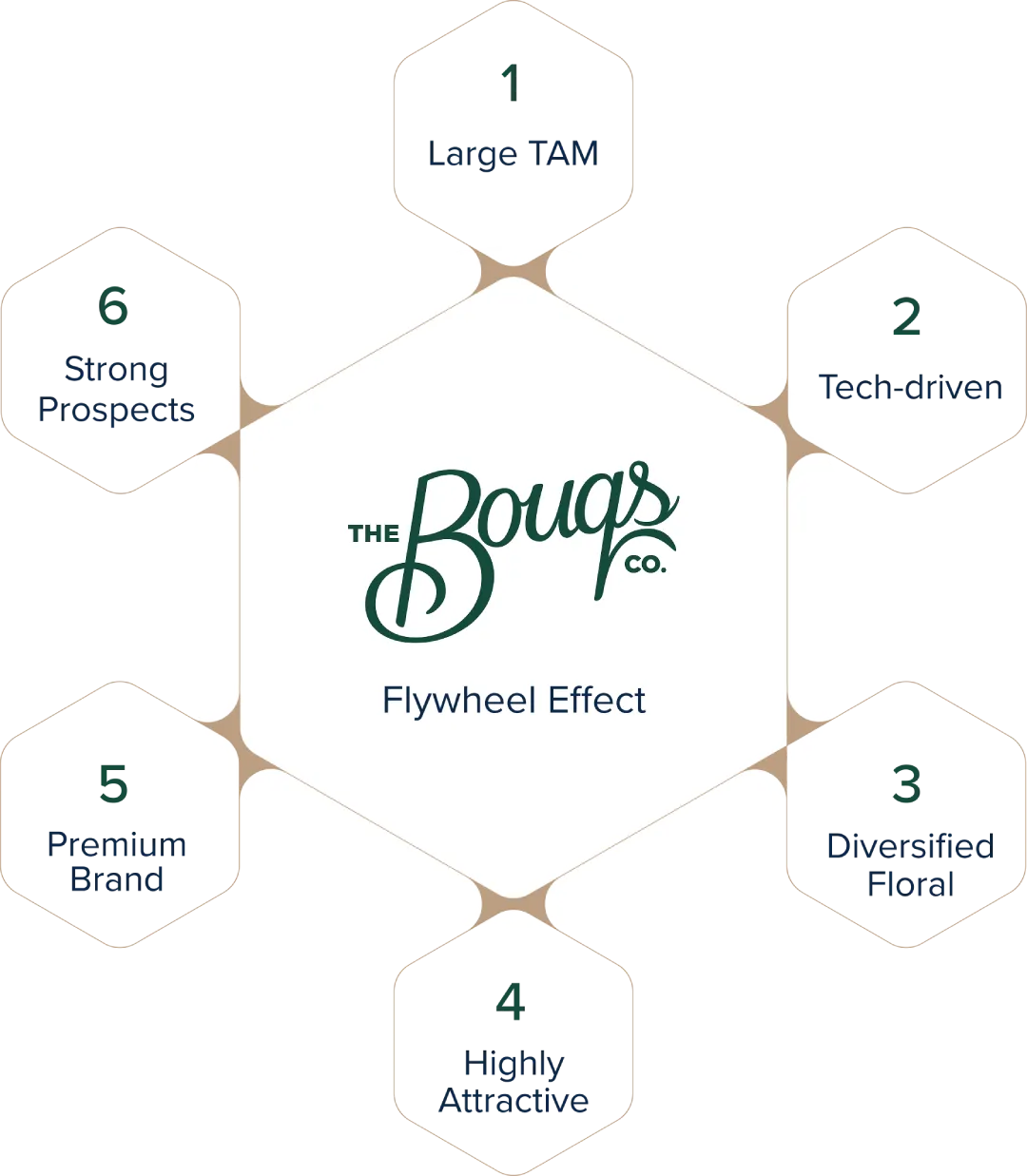 Infographic showing The Bouqs Co. "Flywheel Effect" surrounded by six growth drivers: 1. Large TAM, 2. Tech-driven, 3. Diversified Floral, 4. Highly Attractive, 5. Premium Brand, 6. Strong Prospects.