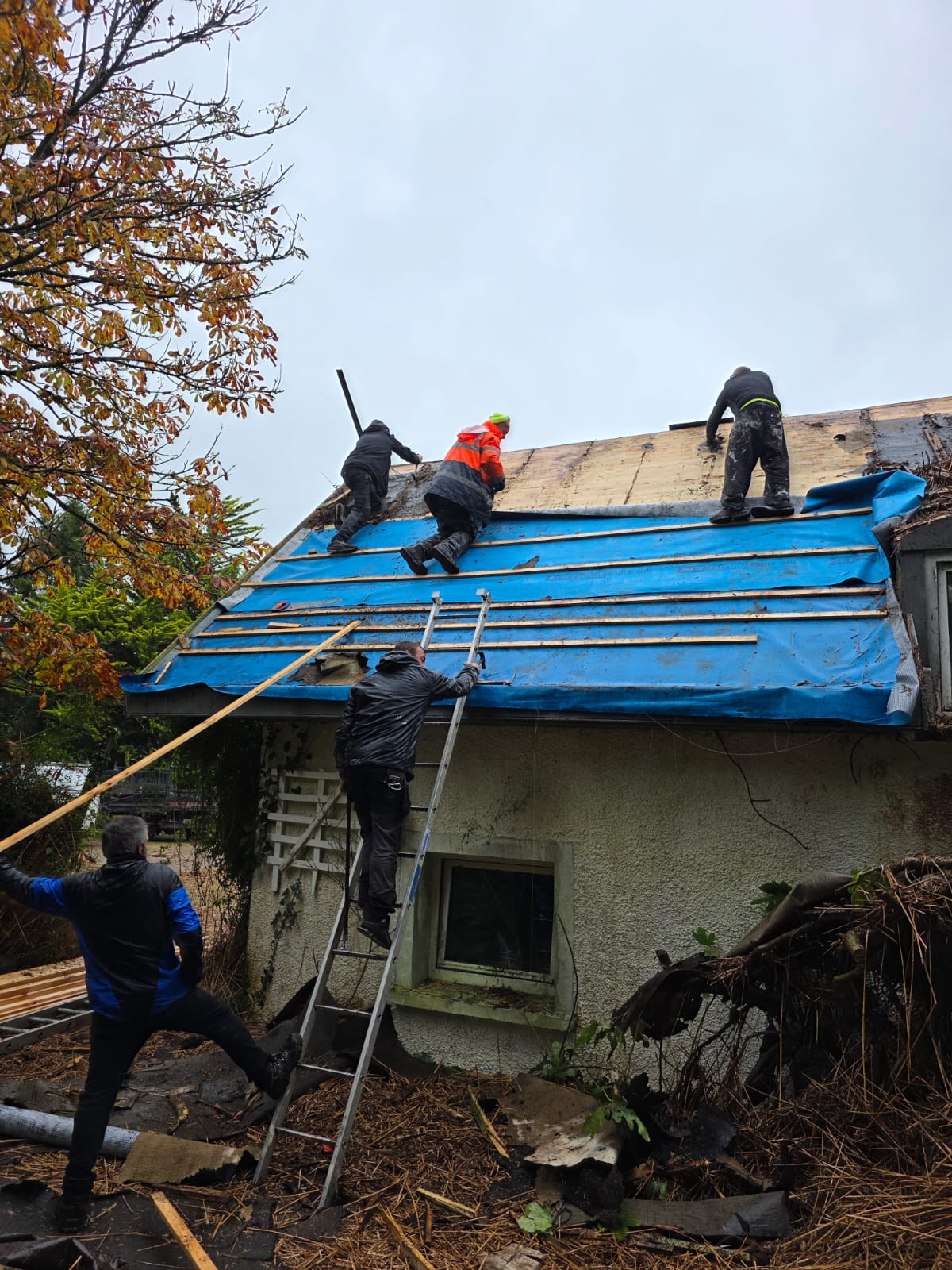 roof maintenance