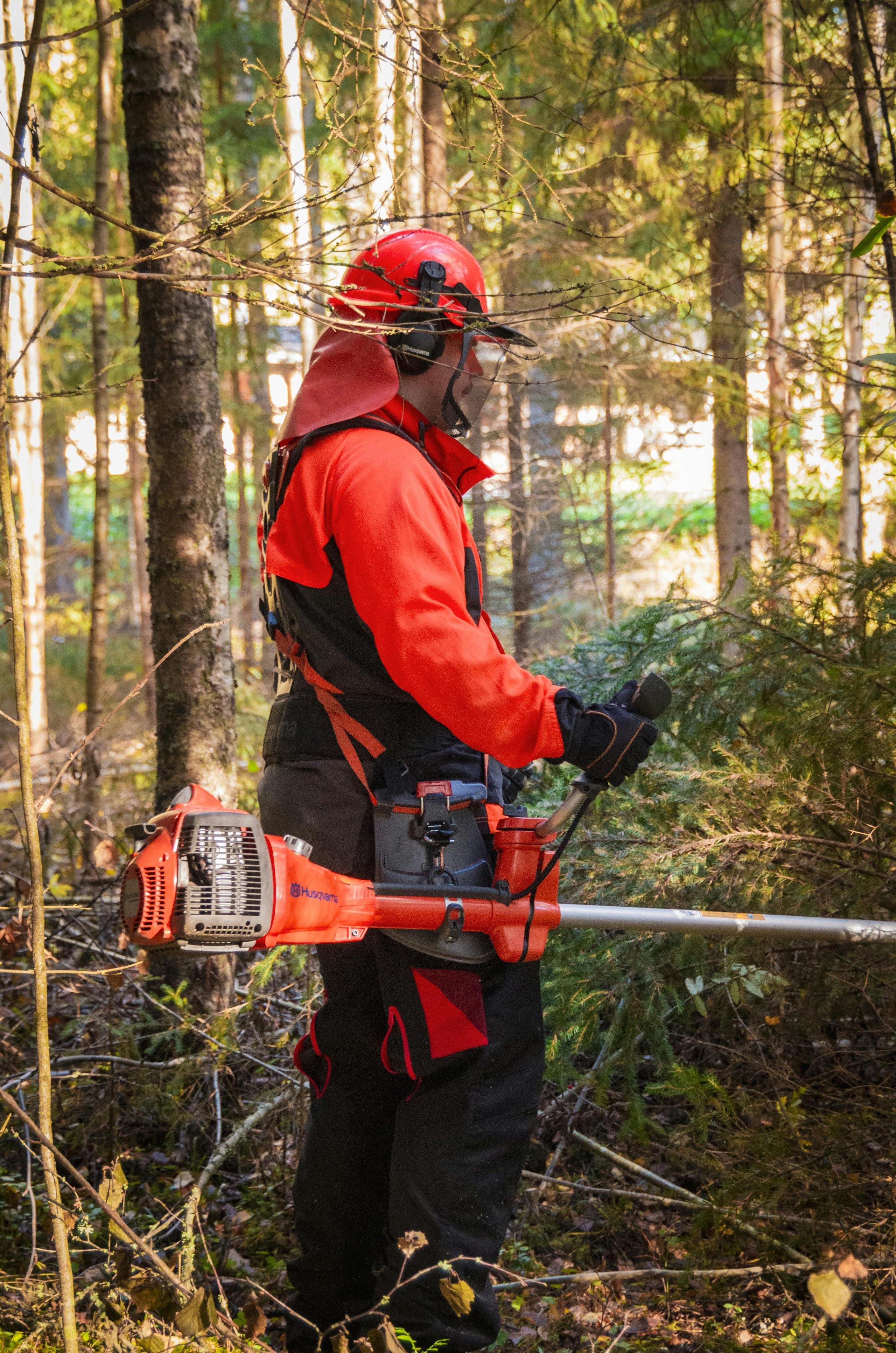 tree pruning