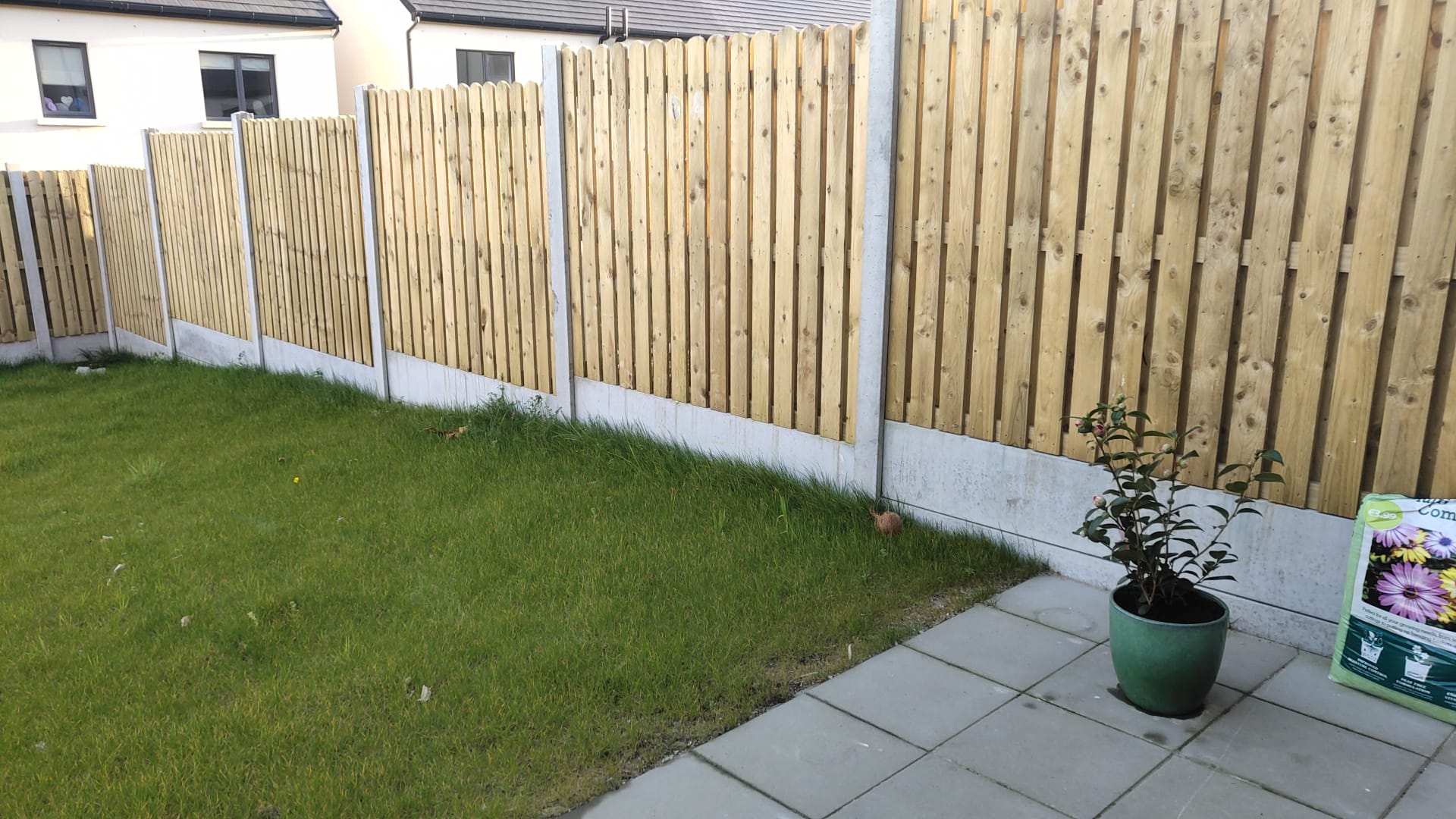 Backyard with green grass bordered by tall wooden fencing panels and a potted plant on a paved patio area.