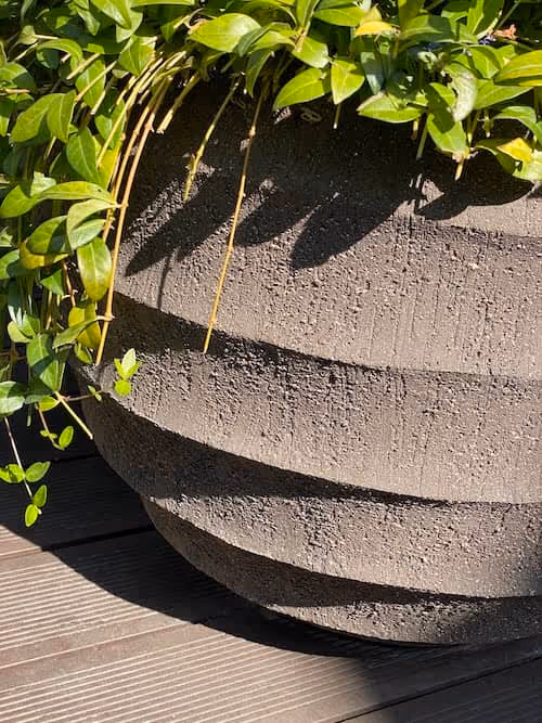 kevin-clare-paysages_pot-plantes