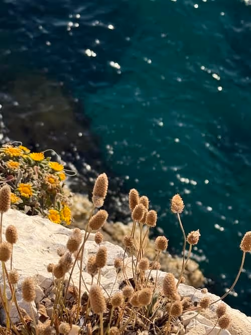 kevin-clare-paysages_lagure