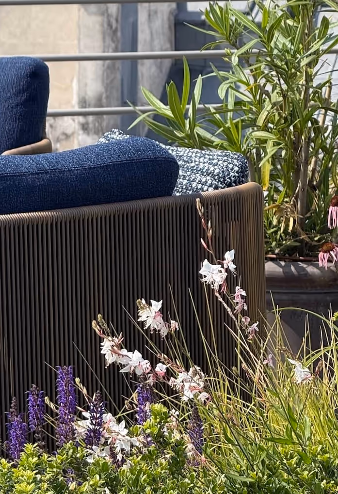 Campagne dans le ciel