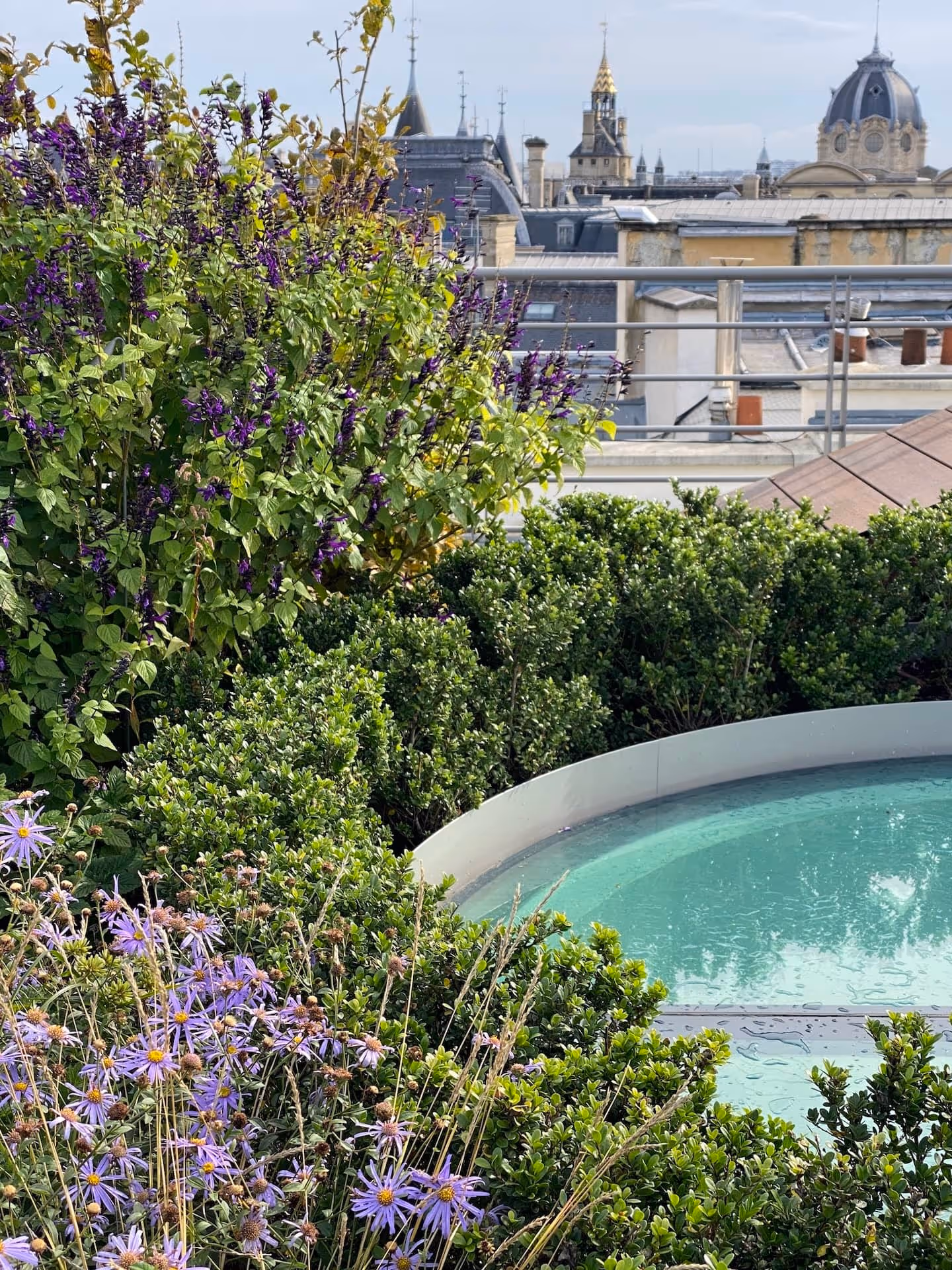 Campagne dans le ciel