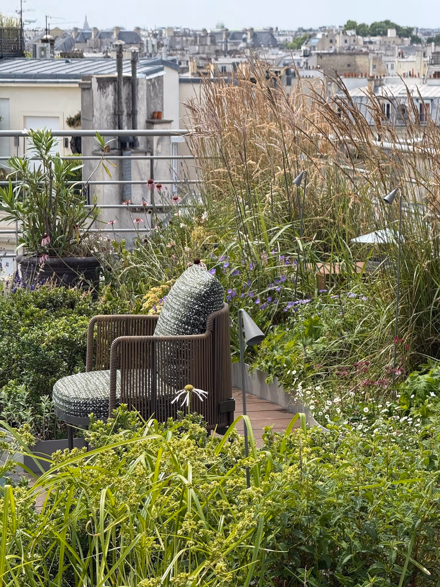 Campagne dans le ciel