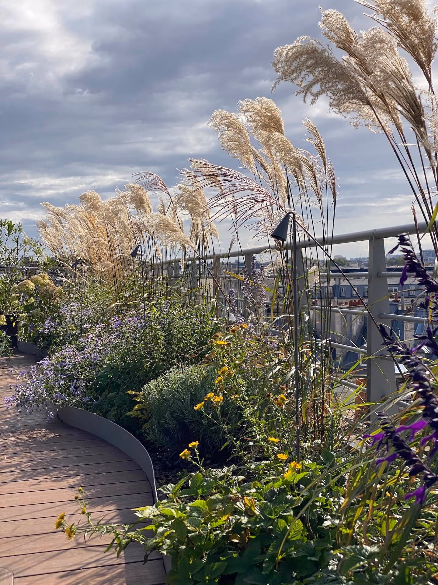 Campagne dans le ciel