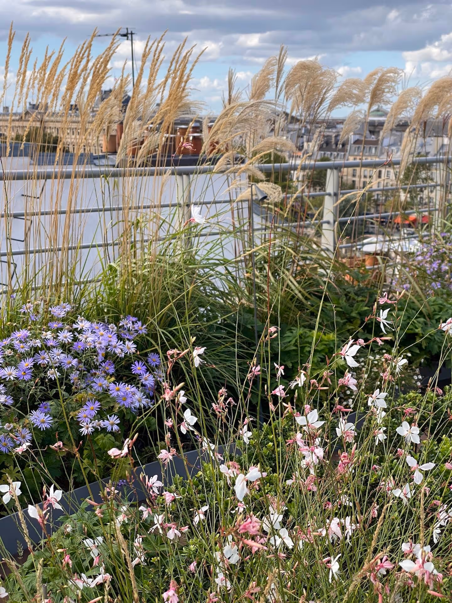 Campagne dans le ciel