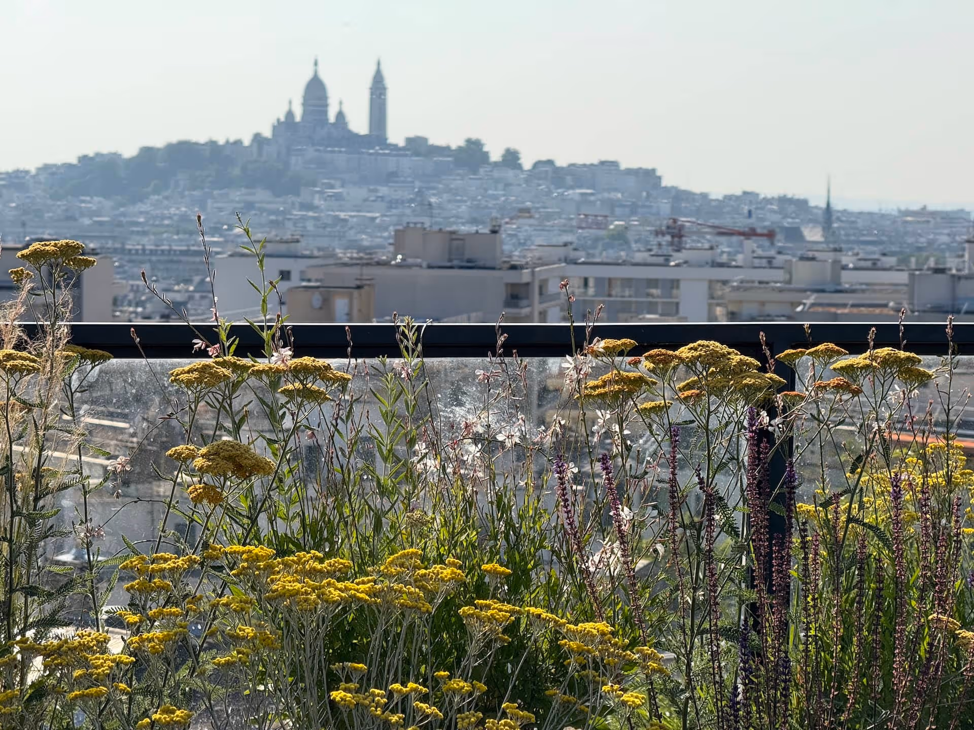 Sur le haut de la butte