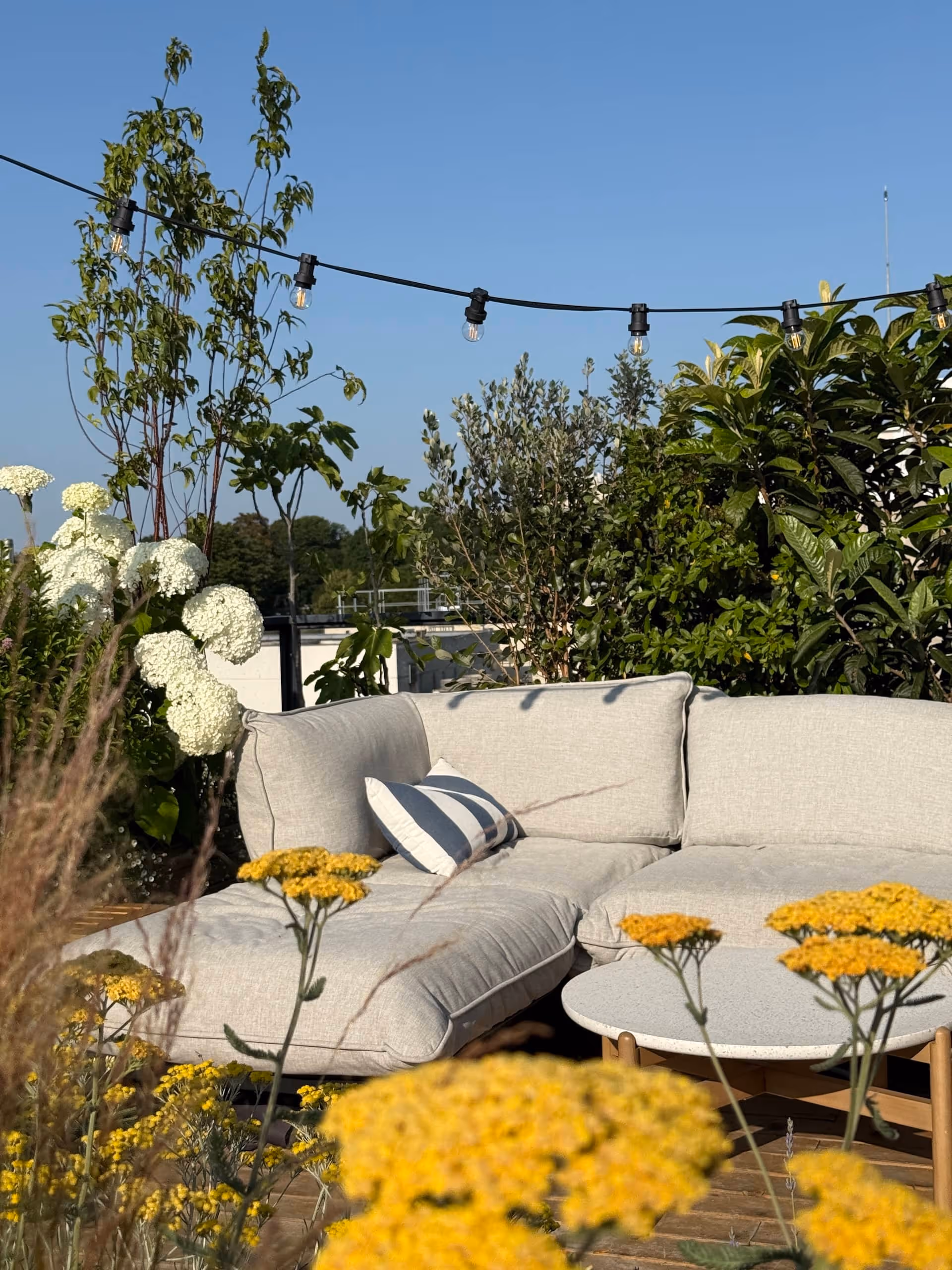 Sur le haut de la butte