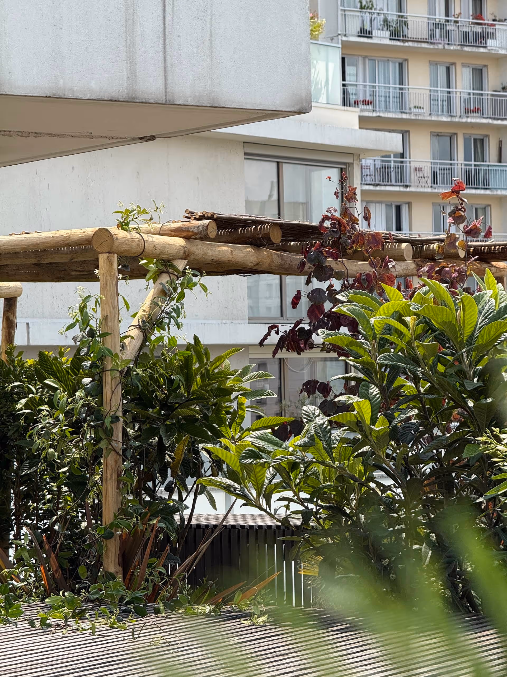 Paillotes sur les toits