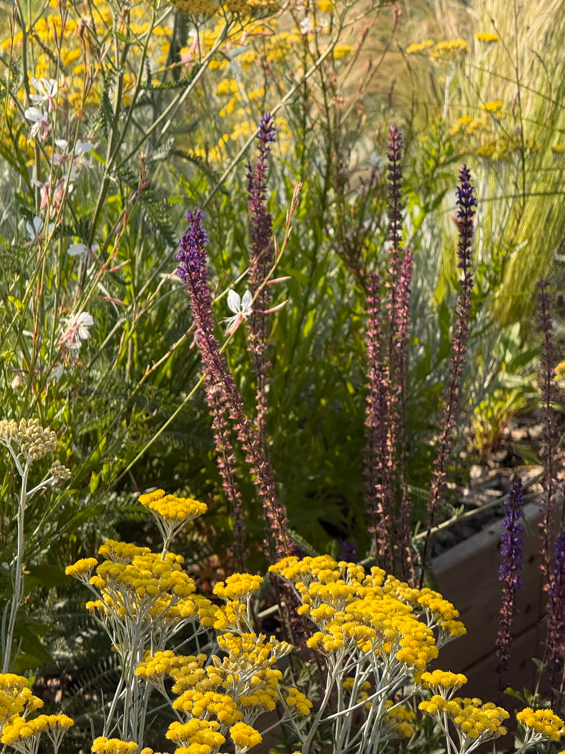 Sur le haut de la butte