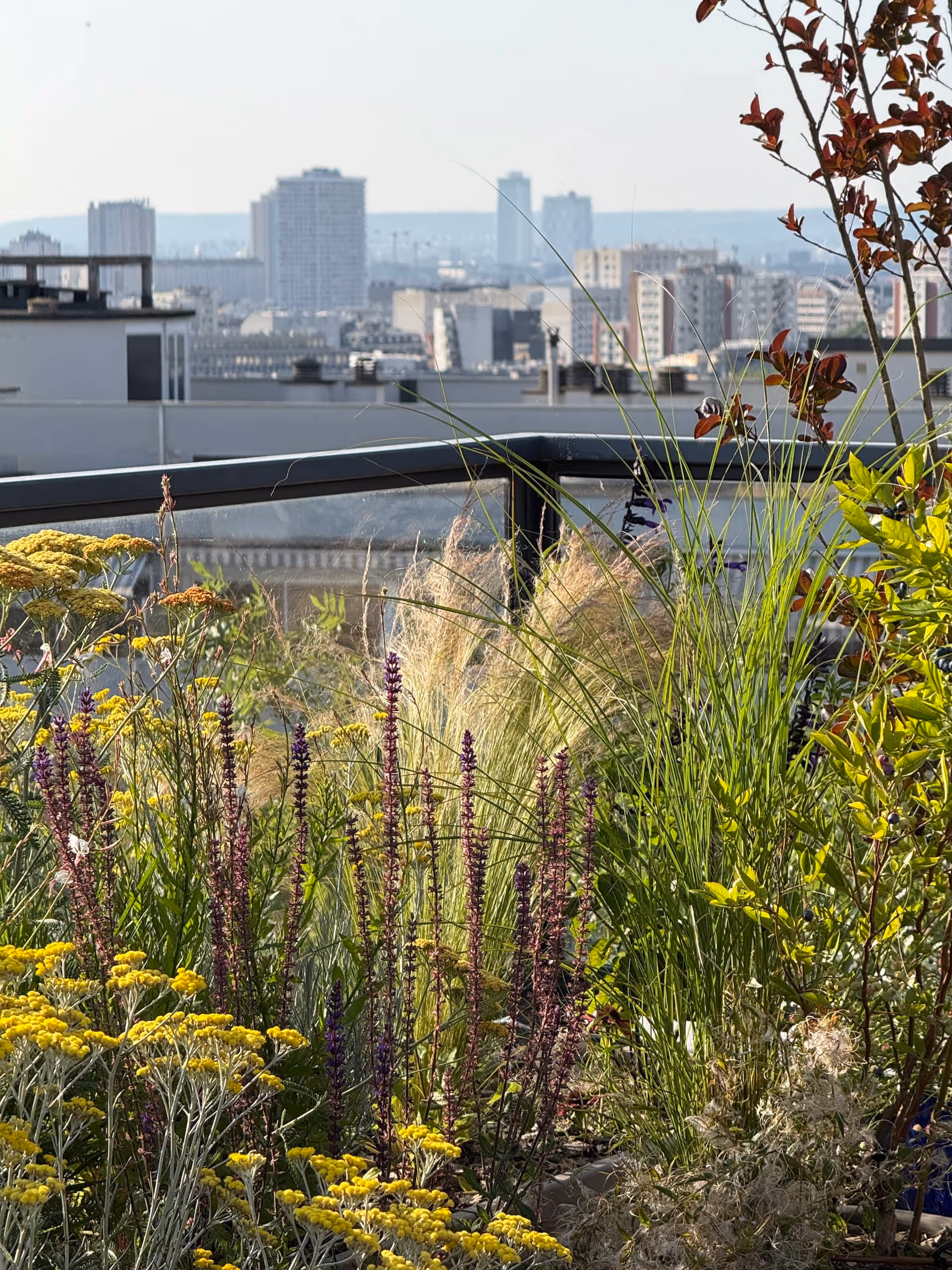 Sur le haut de la butte