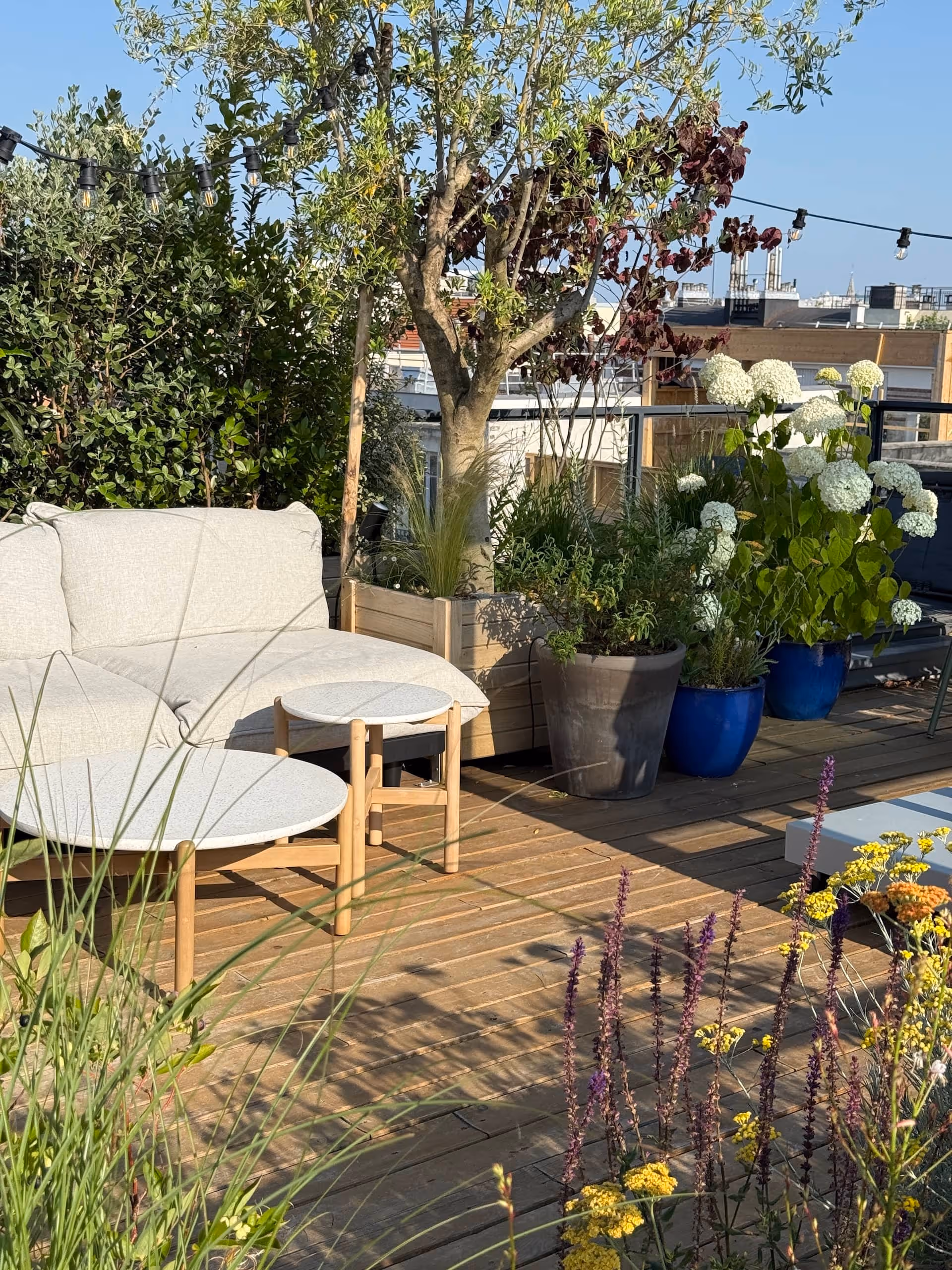 Sur le haut de la butte