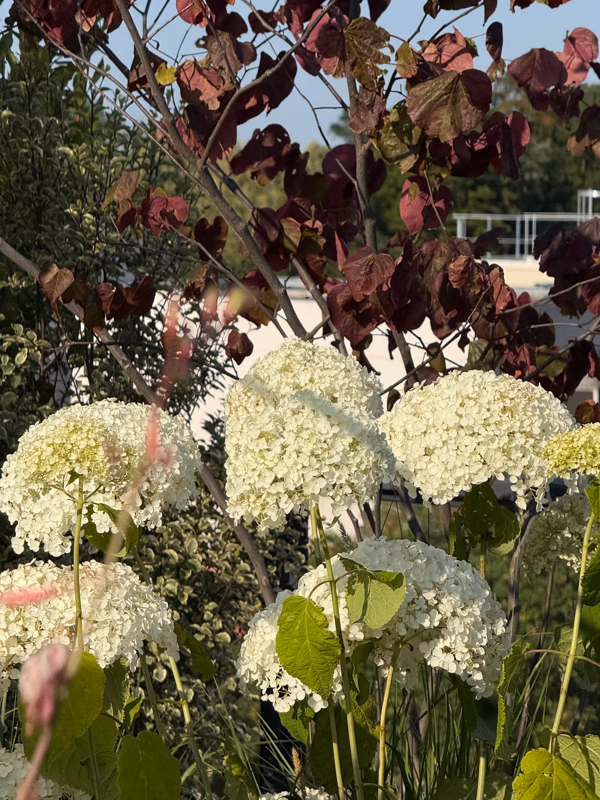 Sur le haut de la butte