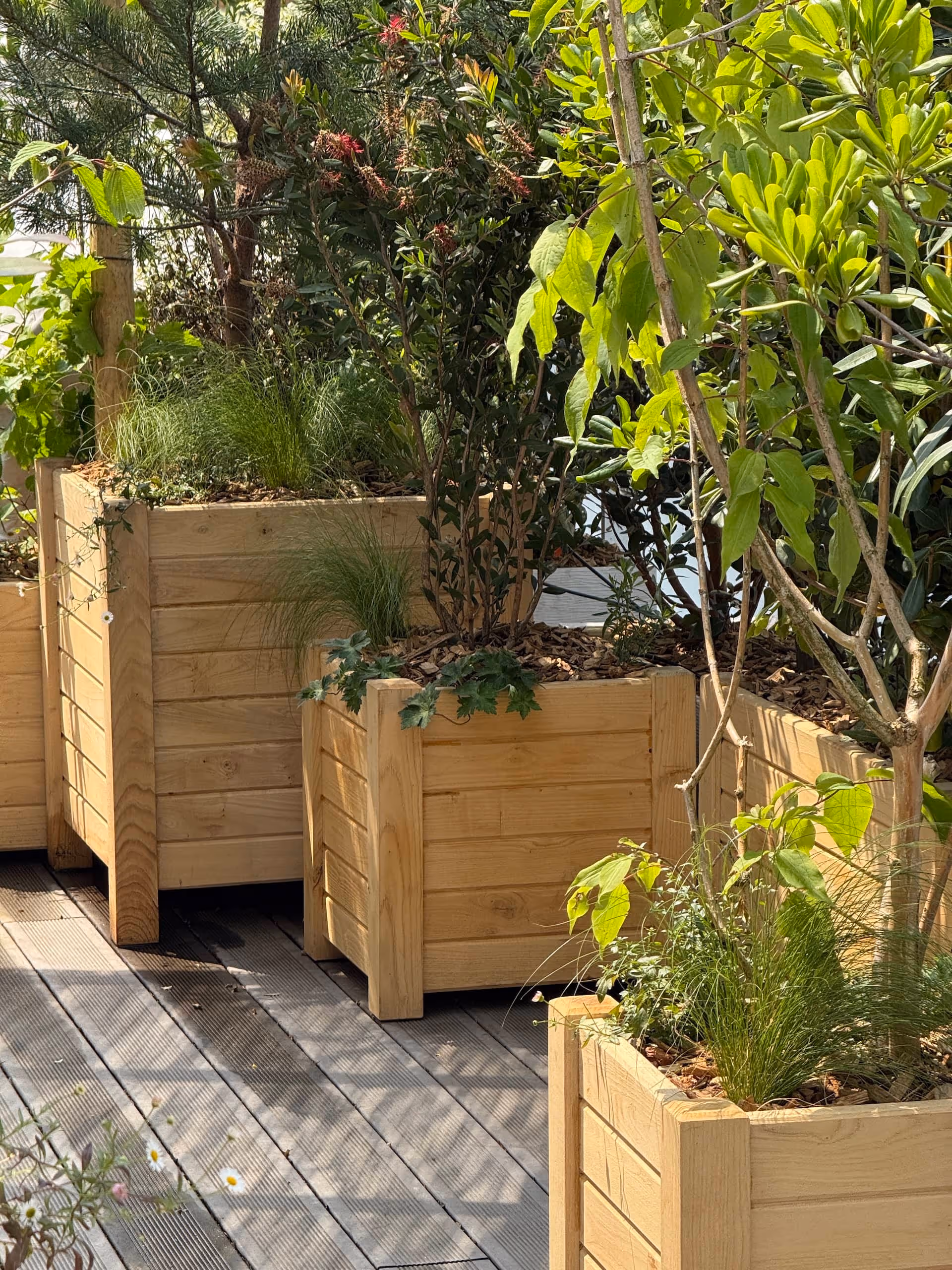 Paillotes sur les toits