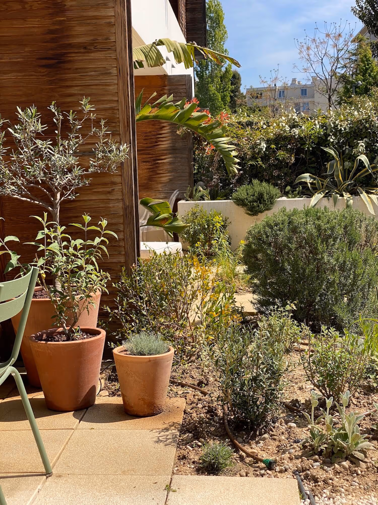 La garrigue en rez-de-jardin