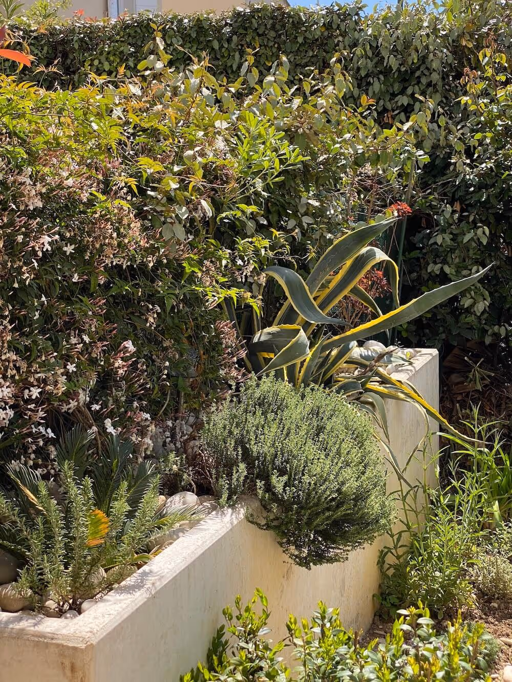 La garrigue en rez-de-jardin