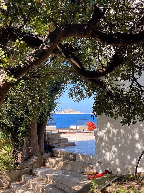 Le jardin des fragments de mémoire