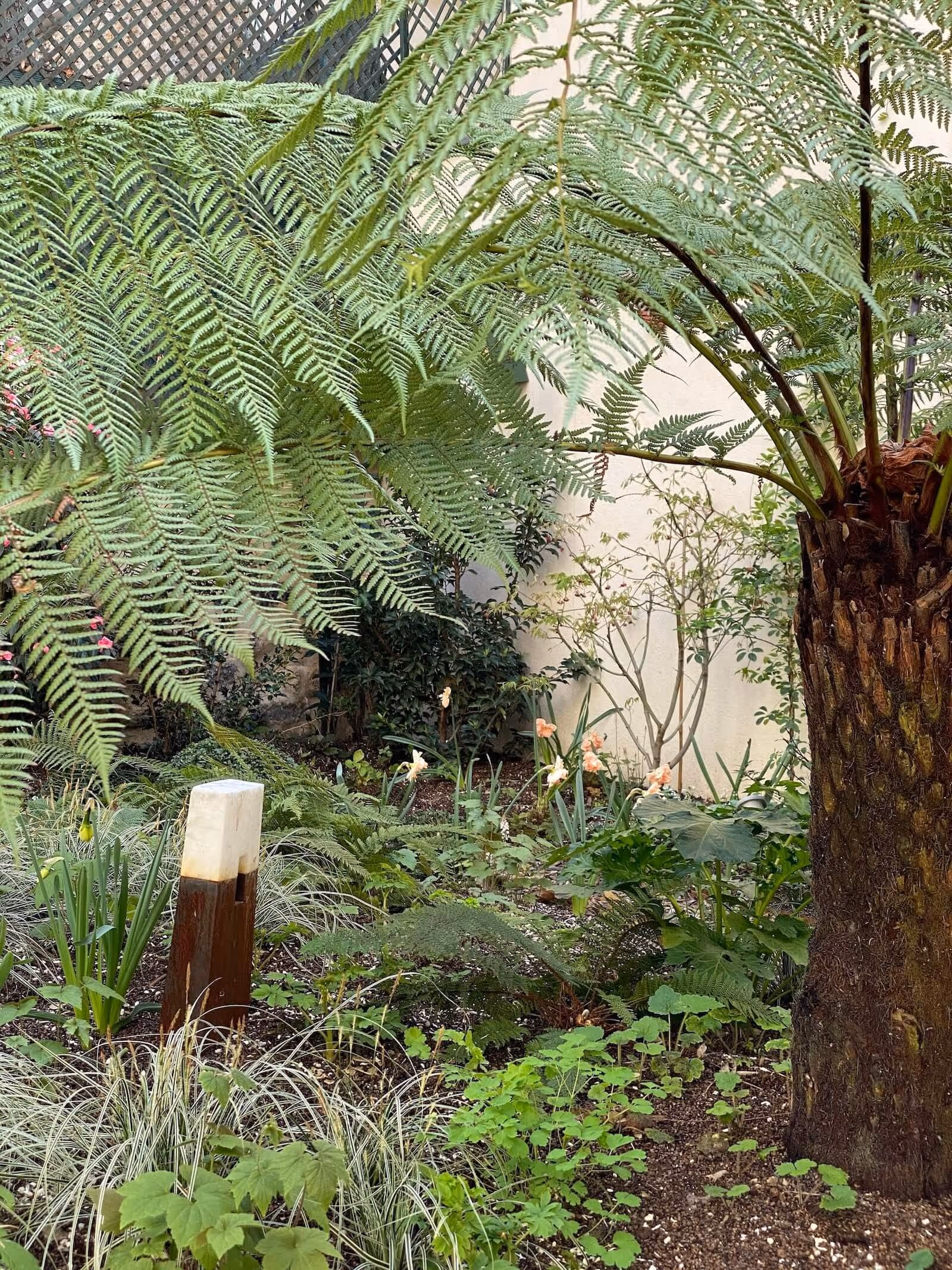 Clair-obscur aux Batignolles