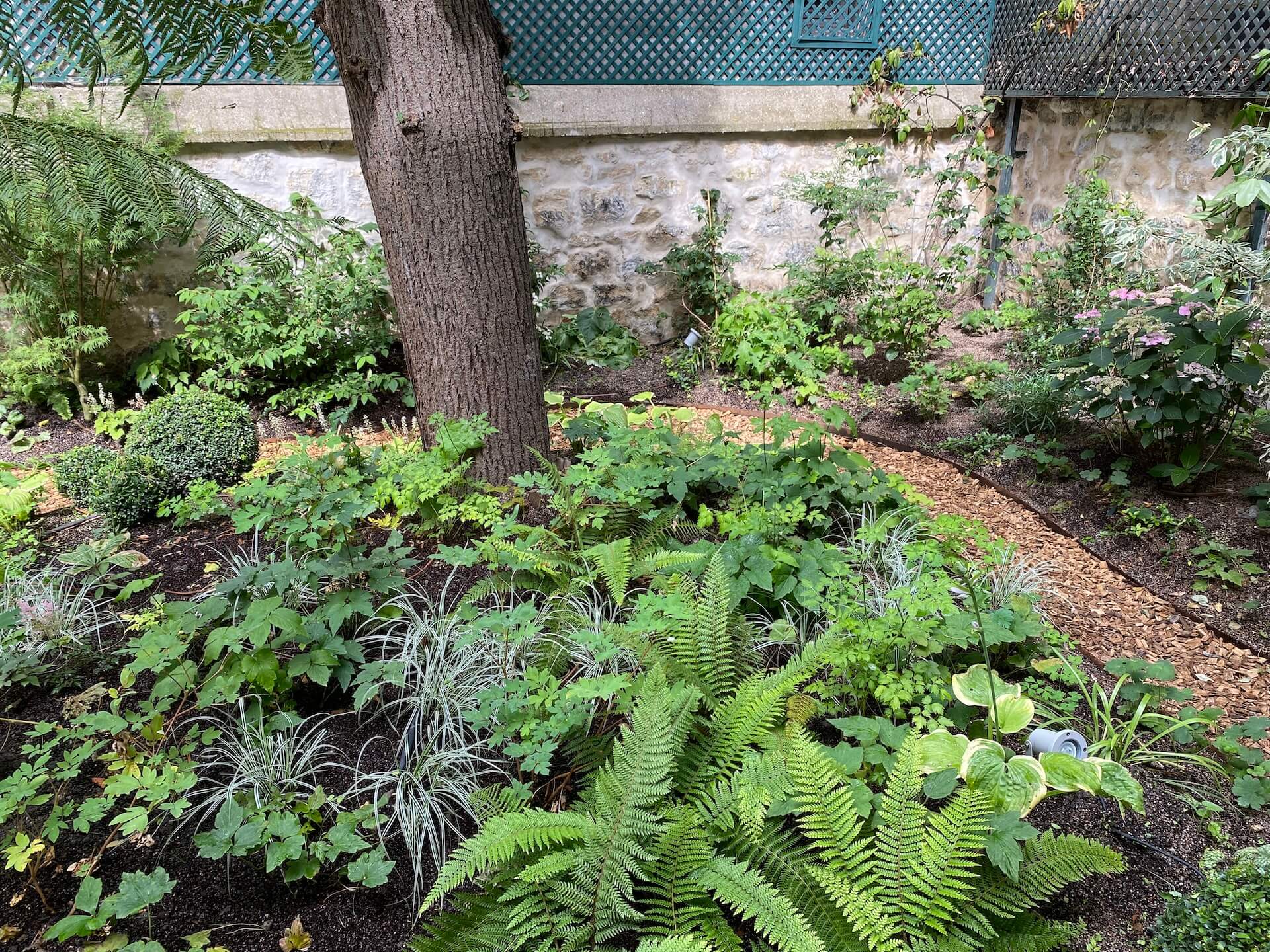 Clair-obscur aux Batignolles