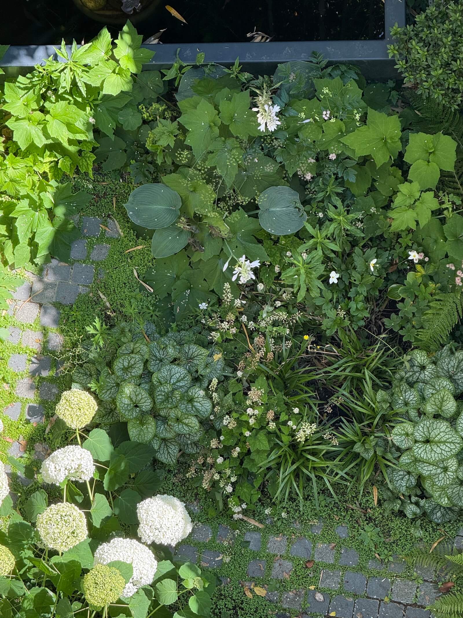 Le repos de Narcisse