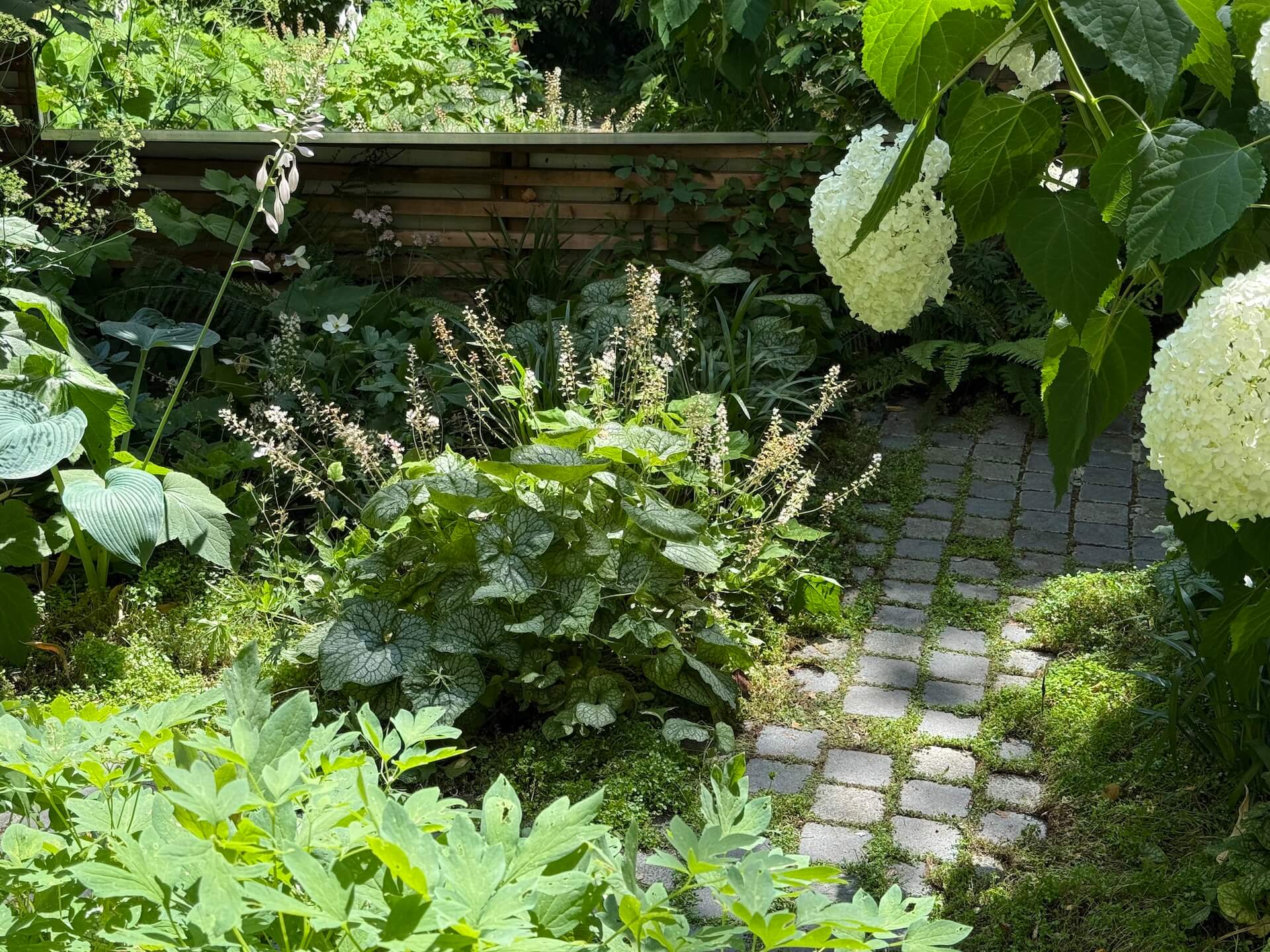 Le repos de Narcisse