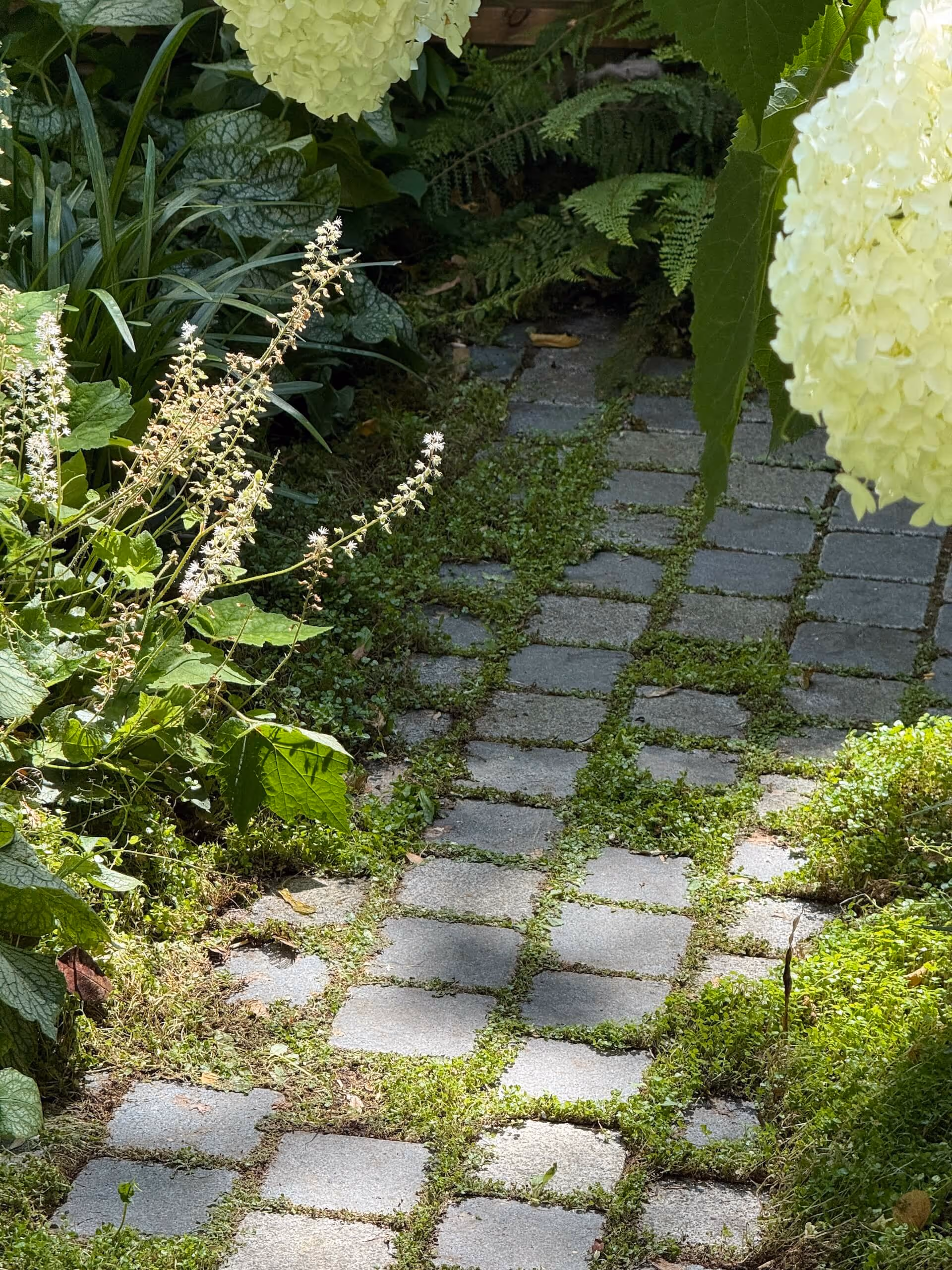 Le repos de Narcisse