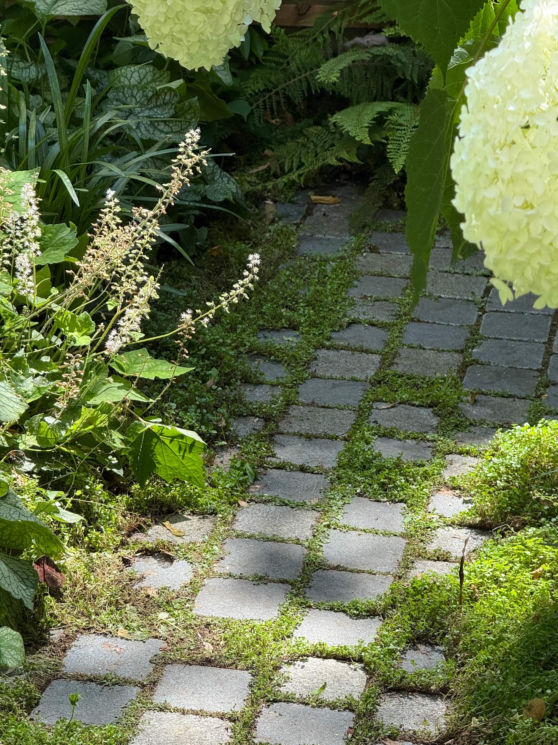 Le repos de Narcisse