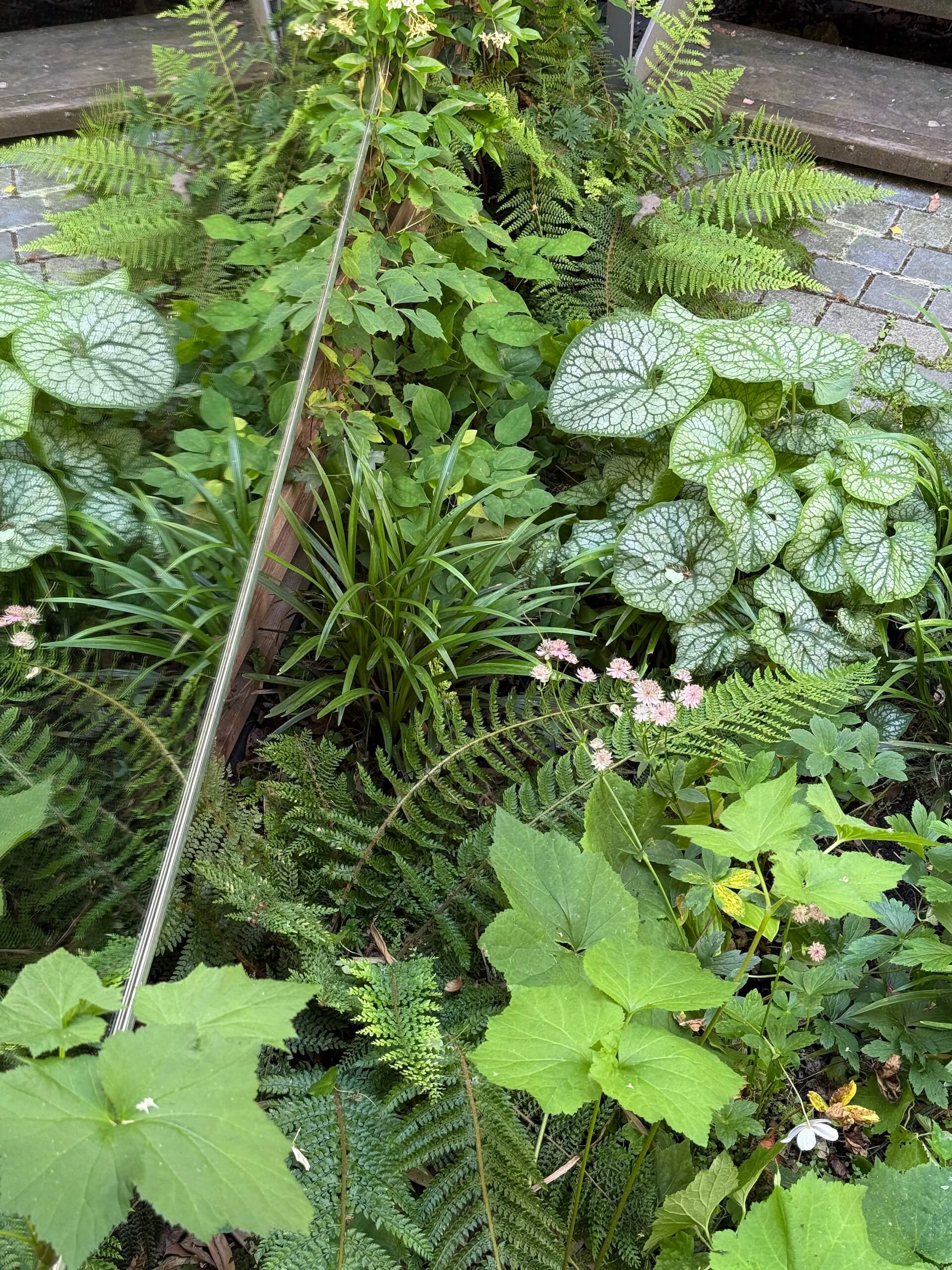 Le repos de Narcisse