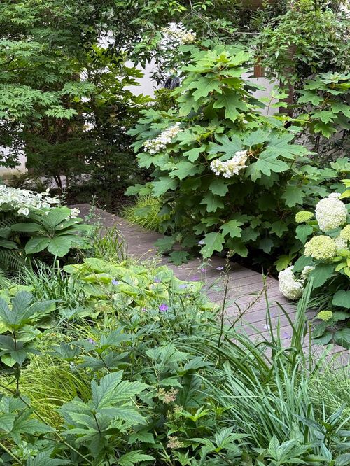 Les mémoires de Candilis