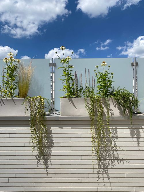 Sensations méridionales